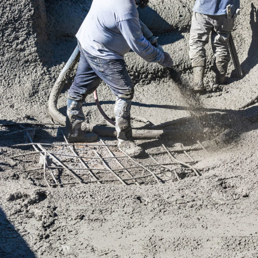 shutterstock_1396924532-510×510